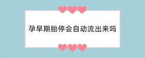 孕早期胎停会自动流出来吗