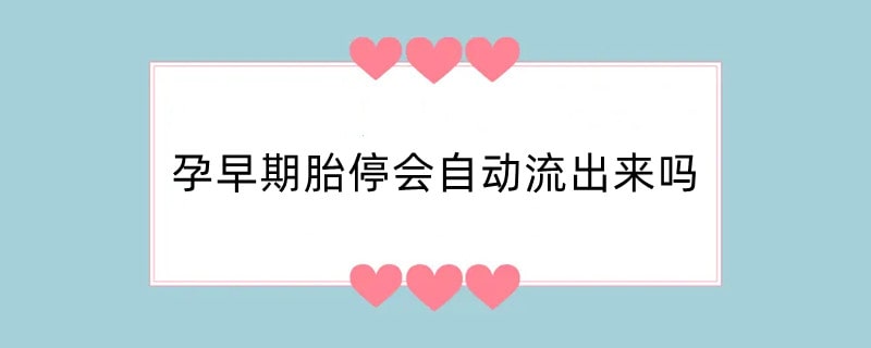 孕早期胎停会自动流出来吗
