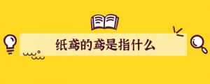 纸鸢的鸢是指什么
