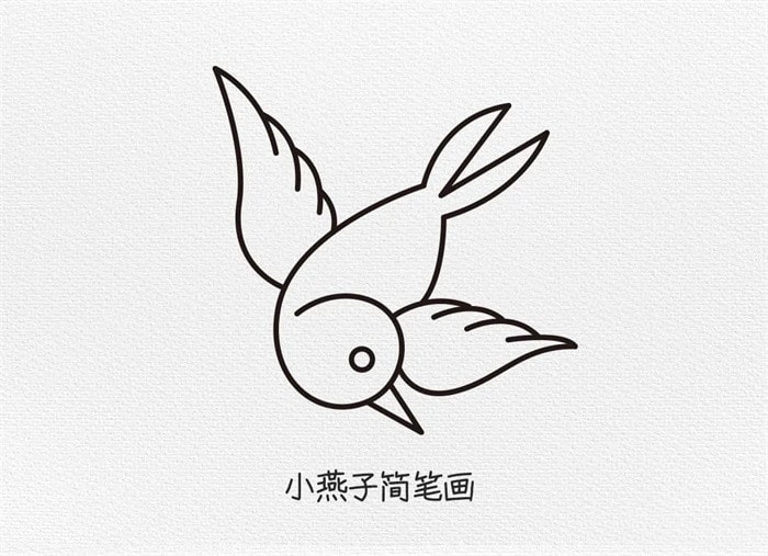 小燕子简笔画图文教程简单又好看