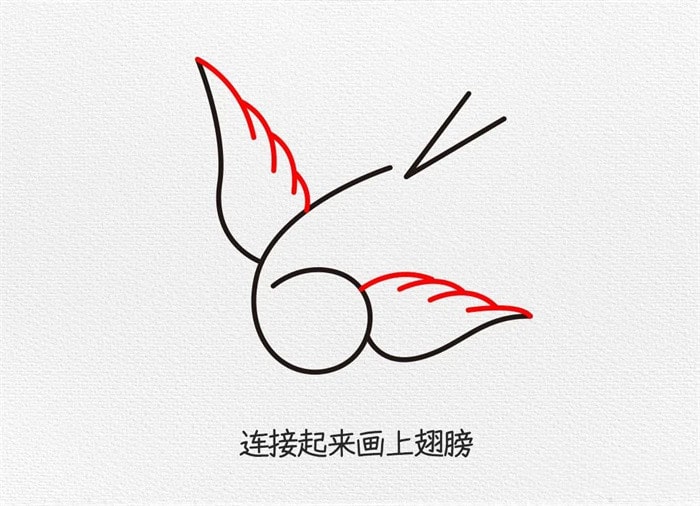 小燕子简笔画图文教程简单又好看