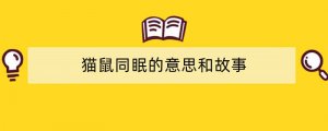 猫鼠同眠的意思和故事
