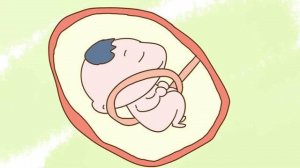 孕后期绕颈一周怎么纠正