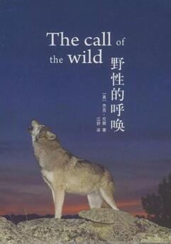 书单｜毕业生推荐给你的书籍