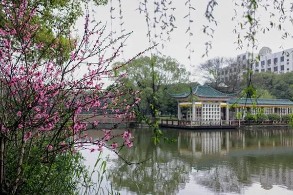 三个技巧，带你寻找并记录美好的校园春色