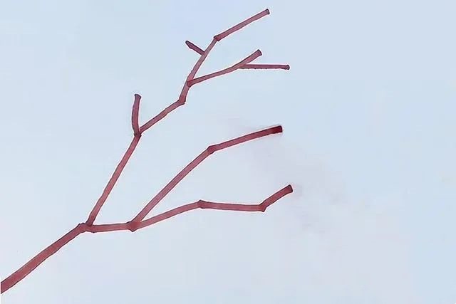 春天手工：剪纸粘贴画制作挂在枝头的桃子(步骤图解)