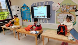 幼儿园幼小衔接系列活动方案《整理小书包》