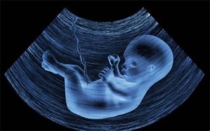 当孕妈妈在熬夜的时候，胎宝宝在干嘛？