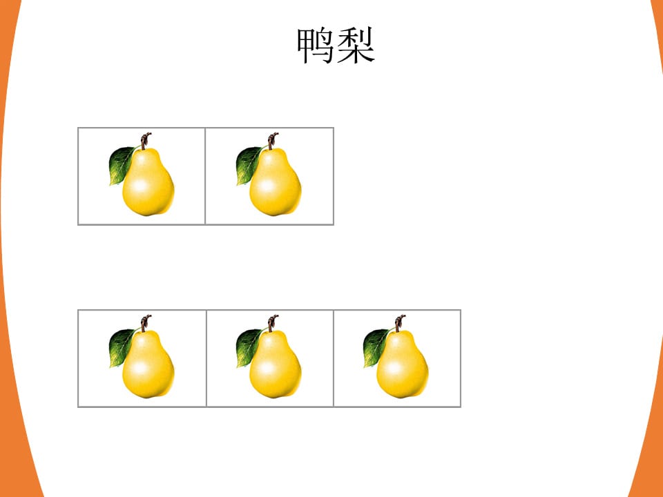 幼儿园中班科学教案：5的组成与分解