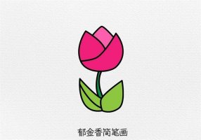 郁金香卡通图片简笔画图文教程