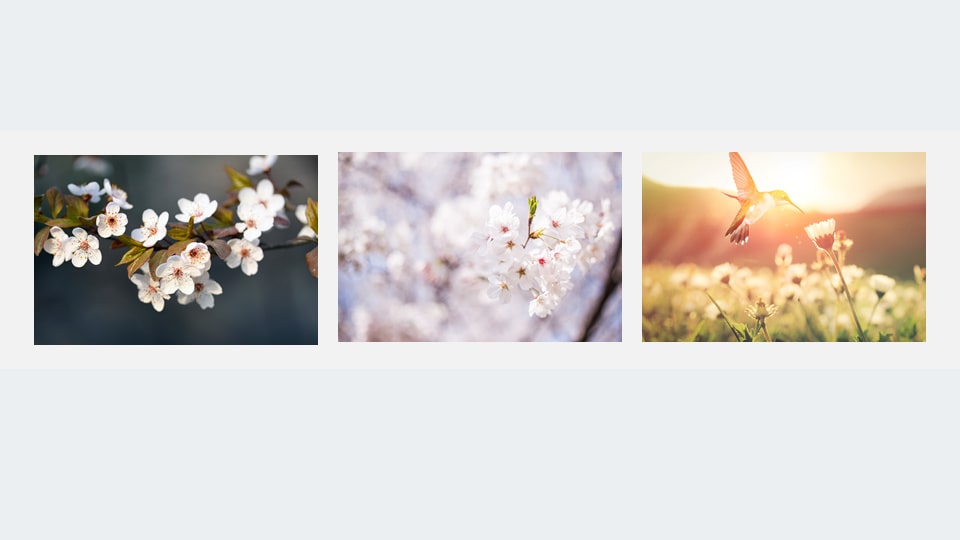 幼儿园大班美术教案：春天的祝福