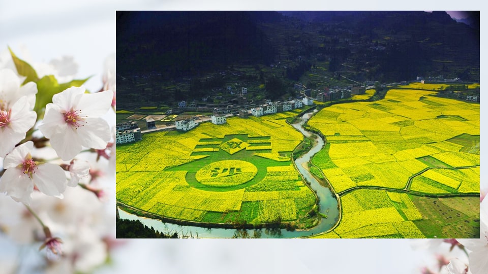 幼儿园大班美术教案：春天的祝福