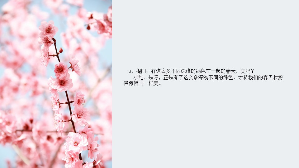 幼儿园大班美术教案：春天的祝福