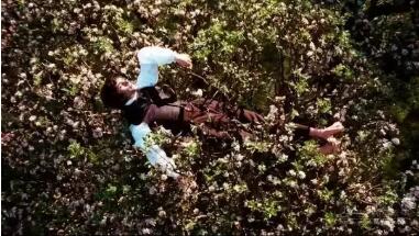 这5本化身为电影的文字书，惊艳了岁月，也雕刻了时光