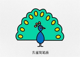 孔雀简笔画图文教程简单又好看
