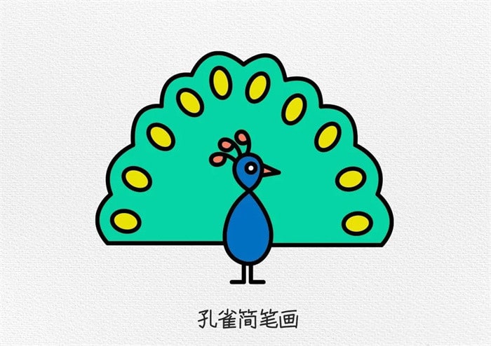 孔雀简笔画图文教程简单又好看