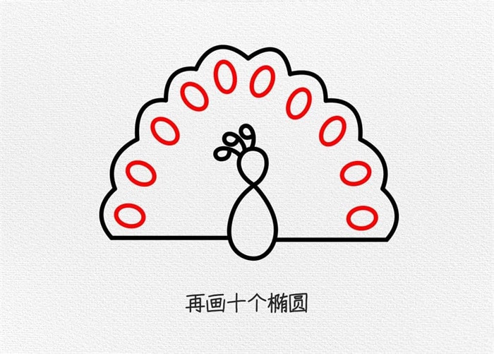 孔雀简笔画图文教程简单又好看