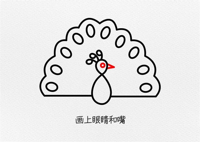 孔雀简笔画图文教程简单又好看