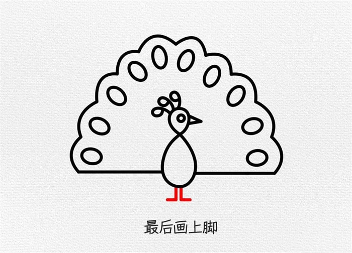 孔雀简笔画图文教程简单又好看