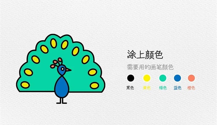 孔雀简笔画图文教程简单又好看