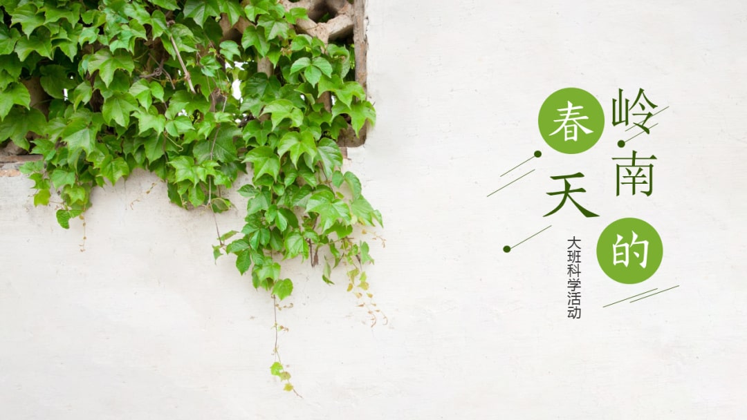 幼儿园大班科学教案：岭南的春天（含PPT课件图片）