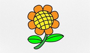 向日葵图片简笔画图文教程简单又好看