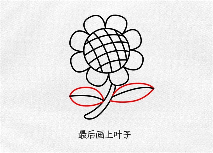 向日葵图片简笔画图文教程简单又好看