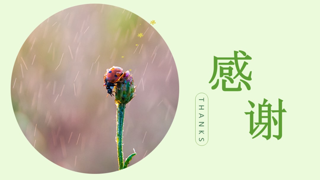 幼儿园大班社会教案：春天节日多（含PPT课件图片）