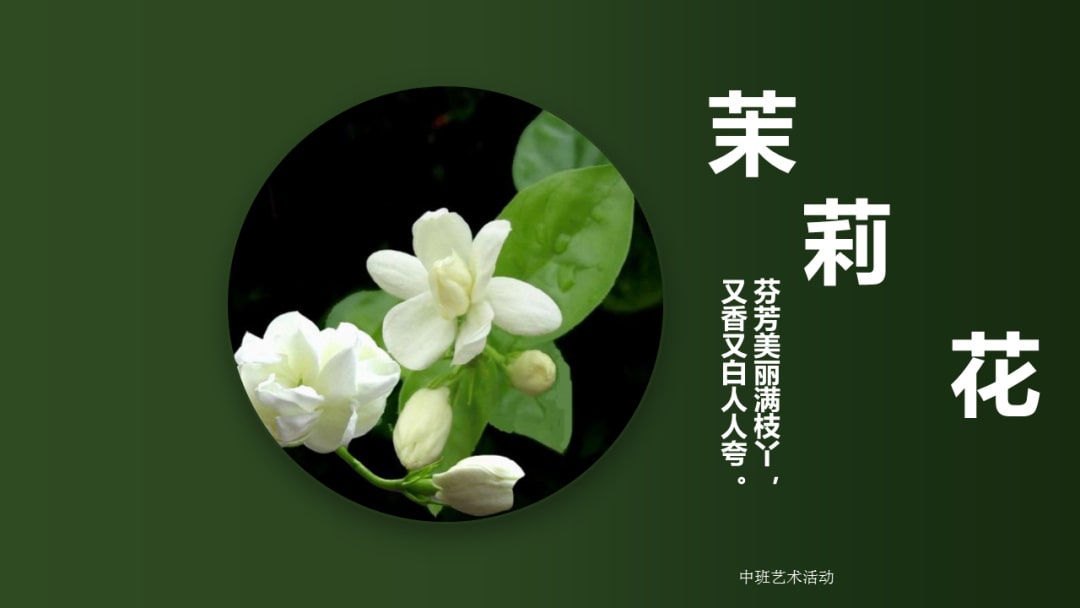 幼儿园中班艺术教案：茉莉花