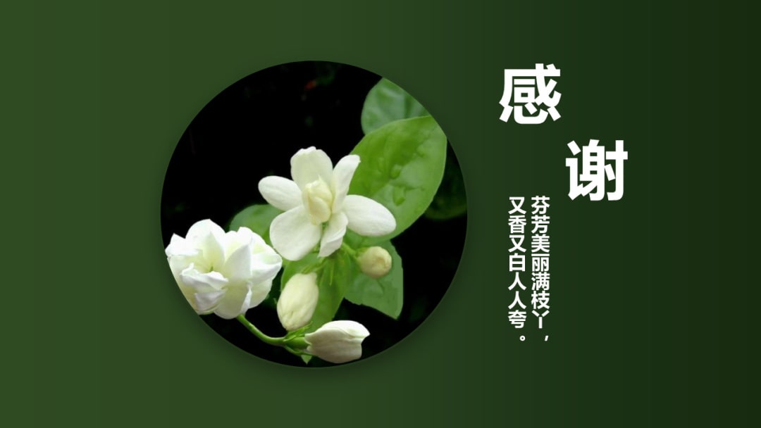 幼儿园中班艺术教案：茉莉花