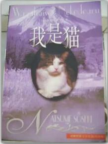 小说 | 是单纯的搞笑，还是幽默带有讽刺？