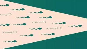 高龄男真的也会影响生育吗？