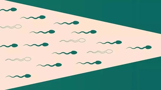 高龄男真的也会影响生育吗？