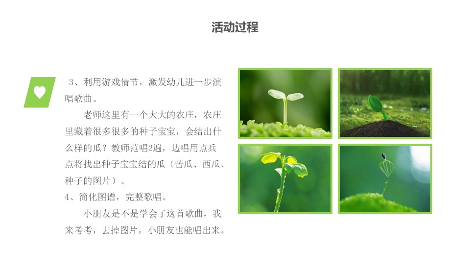 幼儿园中班艺术教案：种子宝宝快开花（含PPT课件图片）