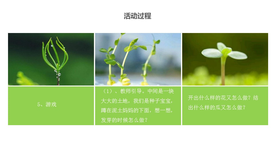 幼儿园中班艺术教案：种子宝宝快开花（含PPT课件图片）