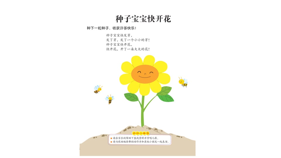 幼儿园中班艺术教案：种子宝宝快开花（含PPT课件图片）