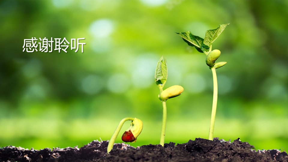 幼儿园中班艺术教案：种子宝宝快开花（含PPT课件图片）