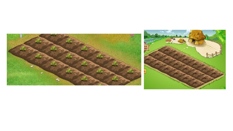 幼儿园中班艺术教案：种子宝宝快开花（含PPT课件图片）