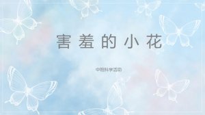 幼儿园中班健康教案：害羞的小花（含PPT课件图