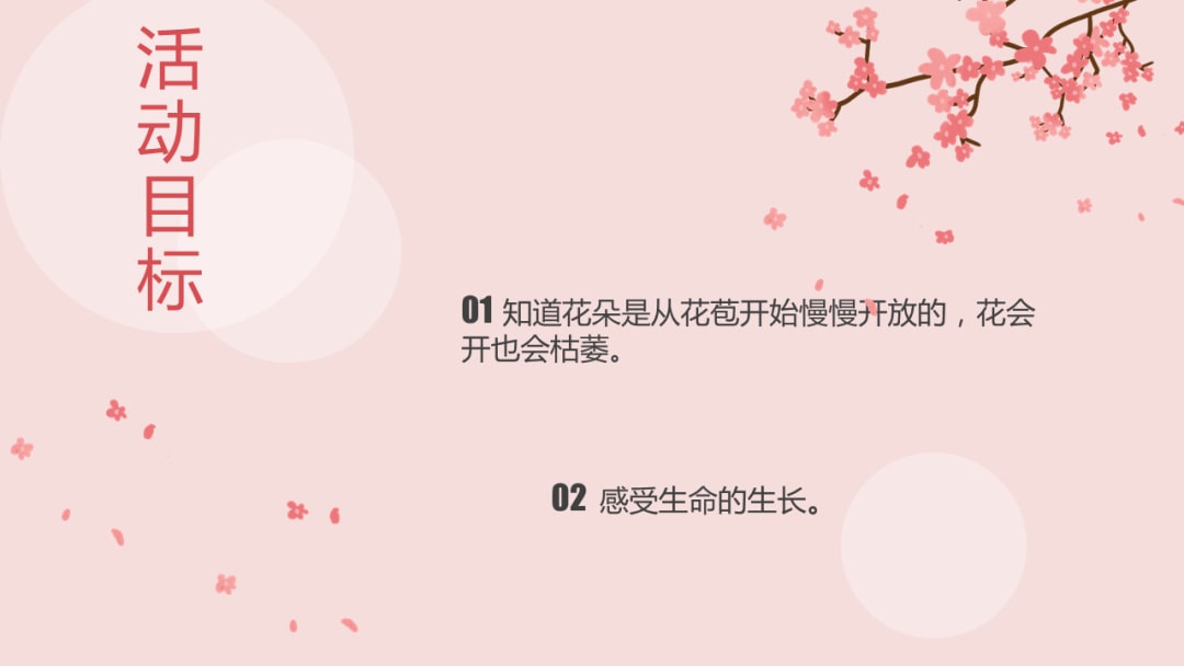 幼儿园中班科学教案：花开花落（含PPT课件图片）