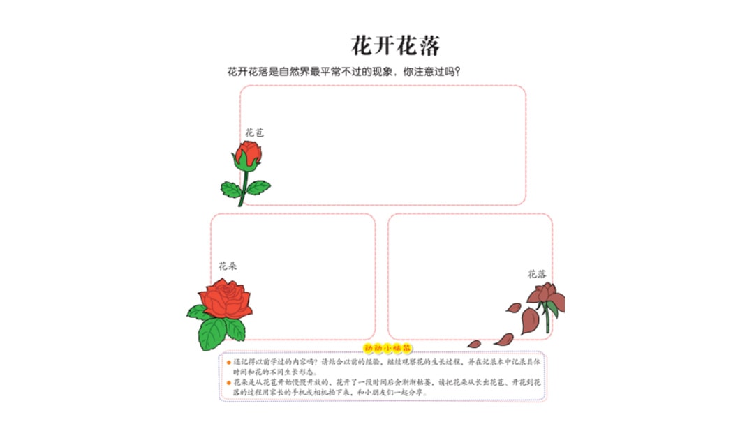 幼儿园中班科学教案：花开花落（含PPT课件图片）