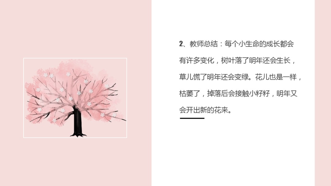 幼儿园中班科学教案：花开花落（含PPT课件图片）