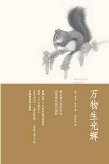 书单| 高分冷门的15本好书推荐