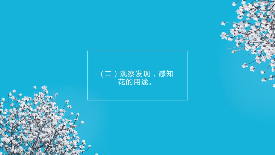 幼儿园中班社会教案：花医生（含PPT课件图片）