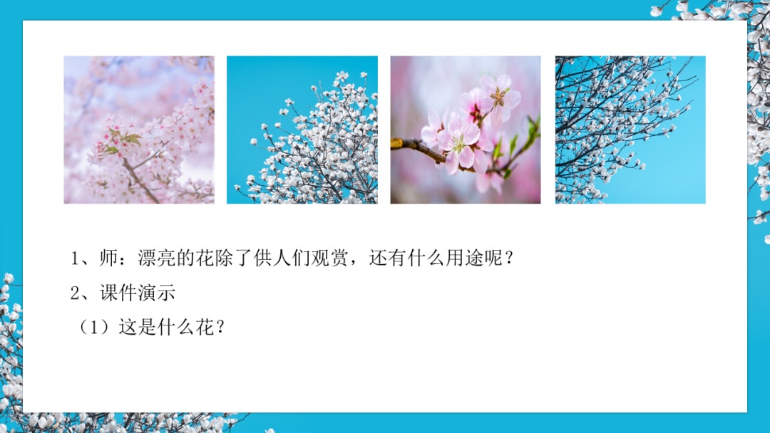 幼儿园中班社会教案：花医生（含PPT课件图片）