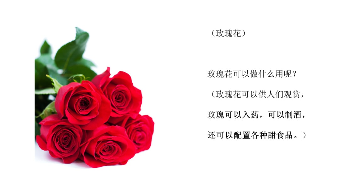 幼儿园中班社会教案：花医生（含PPT课件图片）