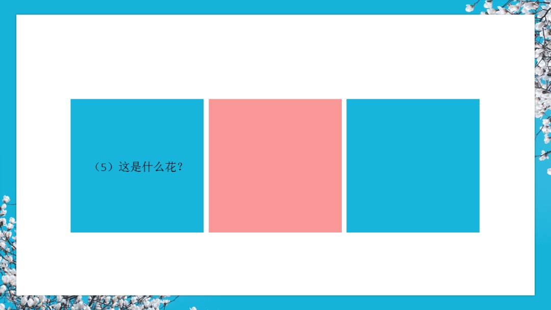幼儿园中班社会教案：花医生（含PPT课件图片）