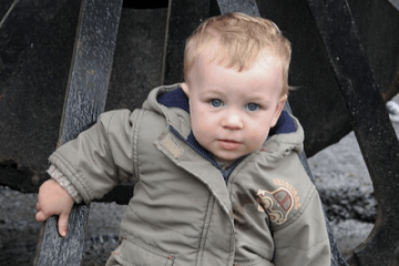 康熙字典10画属木的字