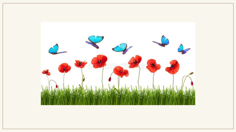 幼儿园中班艺术教案：化蝶（含PPT课件图片）