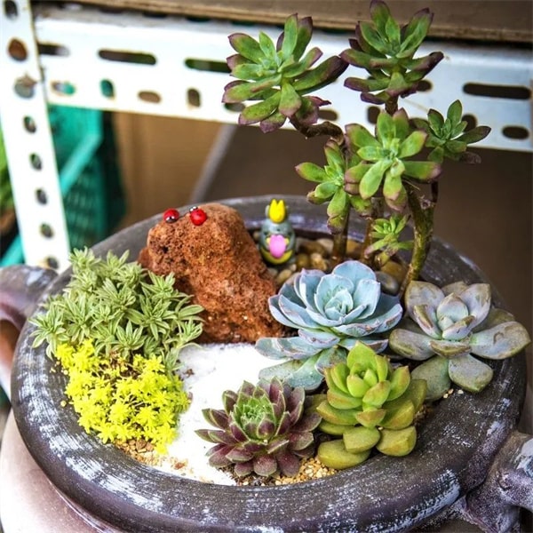 幼儿园植树节活动方案